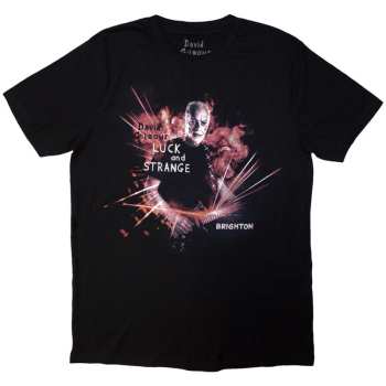 Merch David Gilmour: David Gilmour Unisex T-shirt: Luck & Strange Brighton (black) (back Print & Ex-tour) (small) S