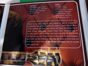 CD David Gogo: Vibe