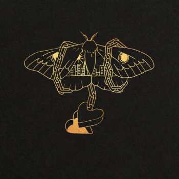Album David Gray: Gold In A Brass Age