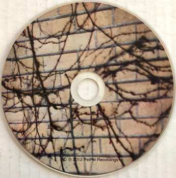 CD David Greenberger: They Like Me Around Here