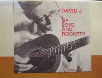 LP David J: Songs From Another Season