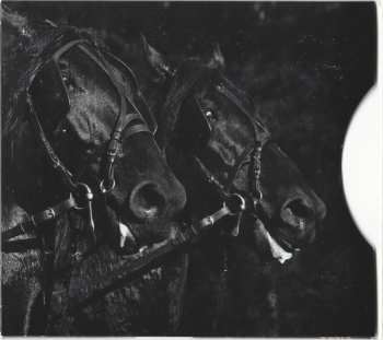 CD David Lang: The Difficulty Of Crossing A Field