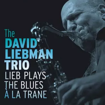 David Liebman Trio: Lieb Plays The Blues A La Trane