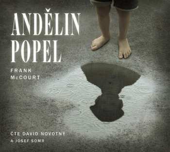 Album David Novotný: Mccourt: Andělin Popel