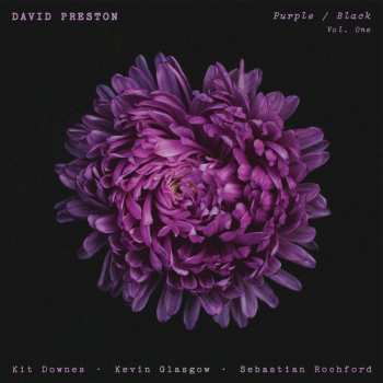 LP David Preston: Purple / Black Vol 1