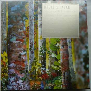 11CD/Doos David Sylvian: Samadhisound 2003-2014 Do You Know Me Now?