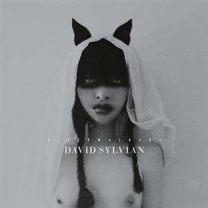 2LP David Sylvian: Sleepwalkers