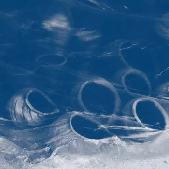 David Toop: The Shell That Speaks The Sea