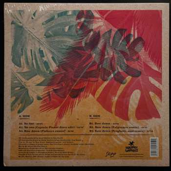 LP David Walters: Bow Down