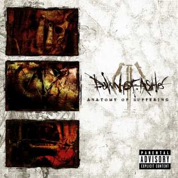 LP Dawn Of Ashes: Anatomy Of Suffering