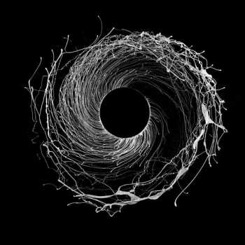 Album Dawn Of Midi: Dysnomia