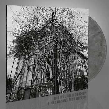 LP Impure Wilhelmina: Dead Decades CLR | LTD