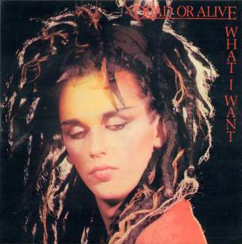 27CD/Doos Dead Or Alive: Still Spinnin' - The Singles Collection 1983-2021 LTD
