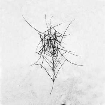 CD Dead Raven Choir: Schmerzengewalt