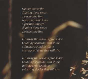 CD Dead Summer Society: Decades LTD | DIGI