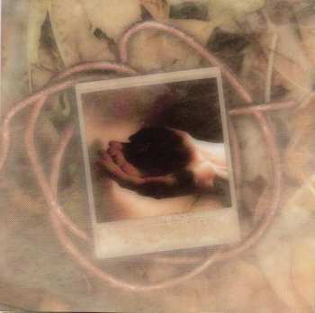 CD Dead To Fall: Everything I Touch Falls To Pieces