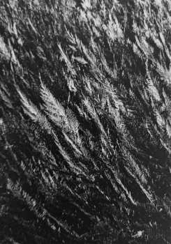 2LP Deaf Center: Pale Ravine LTD