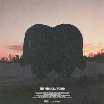 LP Death From Above 1979: The Physical World