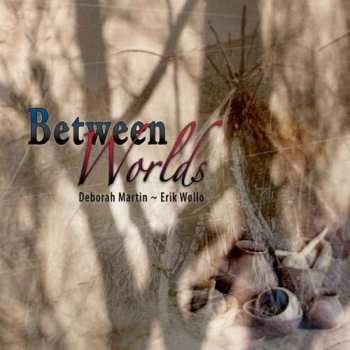 Album Erik Wøllo: Between Worlds