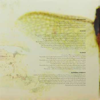 2LP Delerium: Karma DLX | CLR