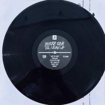 LP Delicate Steve: Till I Burn Up
