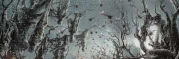 CD Delusional Parasitosis: Ingurgitating Intestinal Rot