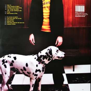 LP Deluxe: If Things Were To Go Wrong LTD