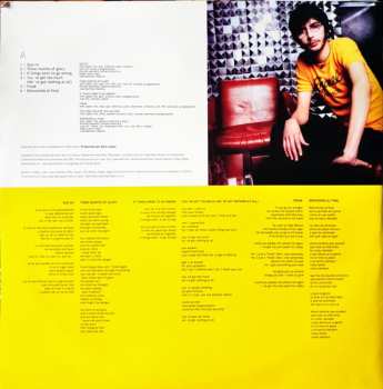 LP Deluxe: If Things Were To Go Wrong LTD