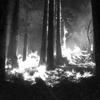Album Den Sorte Død: Undergangen