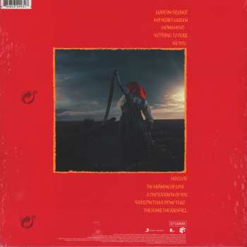 LP Depeche Mode: A Broken Frame