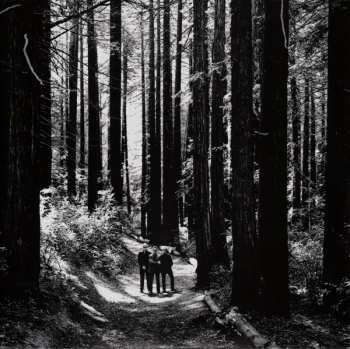 2LP Depeche Mode: Sounds Of The Universe