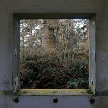 Album Derek Hunter Wilson: Sculptures