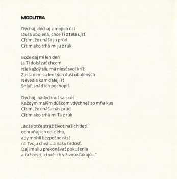 CD Desmod: Iný Rozmer