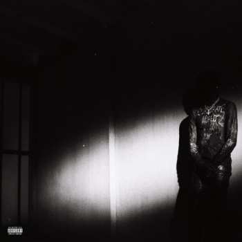 Album Destroy Lonely: No Stylist