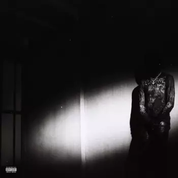 Destroy Lonely: No Stylist