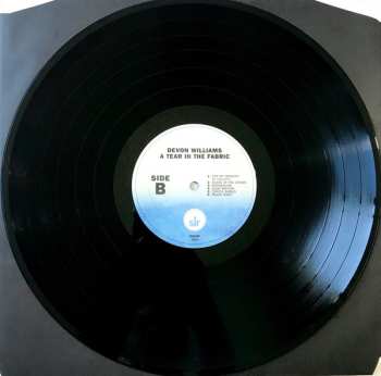 LP Devon Williams: A Tear In The Fabric