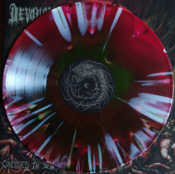 LP Devourment: Conceived In Sewage CLR