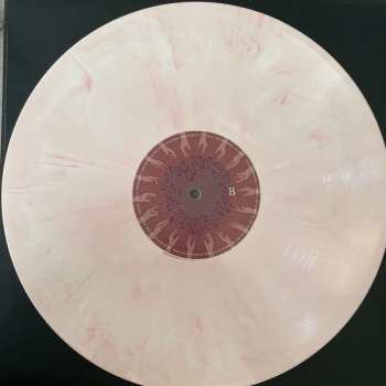 LP Dewolff: Orchards/Lupine LTD