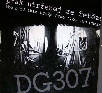 5CD/Doos DG 307: Svědek Spálenýho Času (Witness To The Burnt Time)