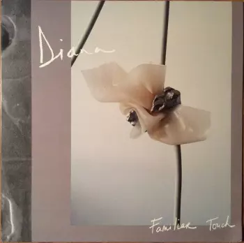 DIANA: Familiar Touch