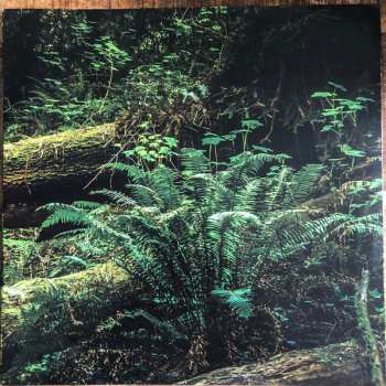LP Dickon Hinchliffe: Leave No Trace LTD | CLR