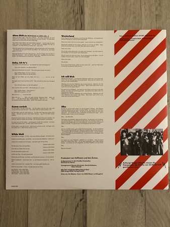LP Die Ärzte: "Das Ist Nicht Die Ganze Wahrheit..."