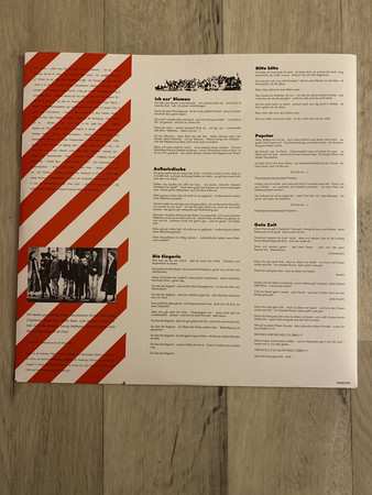 LP Die Ärzte: "Das Ist Nicht Die Ganze Wahrheit..."