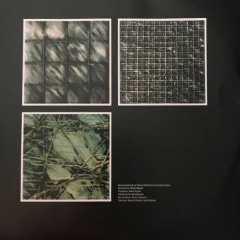 LP Dieter Moebius: Ersatz