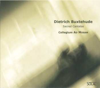 Album Dieterich Buxtehude: Sacred Cantatas