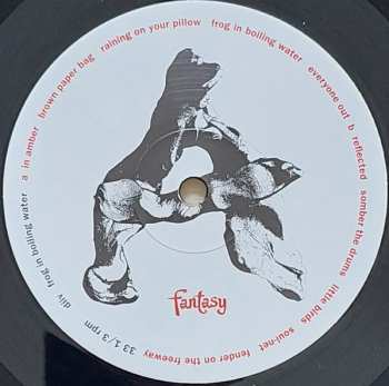 LP DIIV: Frog In Boiling Water