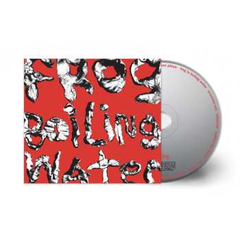Album DIIV: Frog In Boiling Water