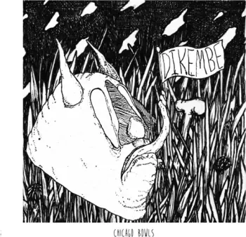 Chicago Bowls / Ledge