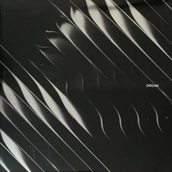 2LP Dimension: Organ CLR | LTD