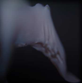 CD Dmitry Mazurov: Rudiments